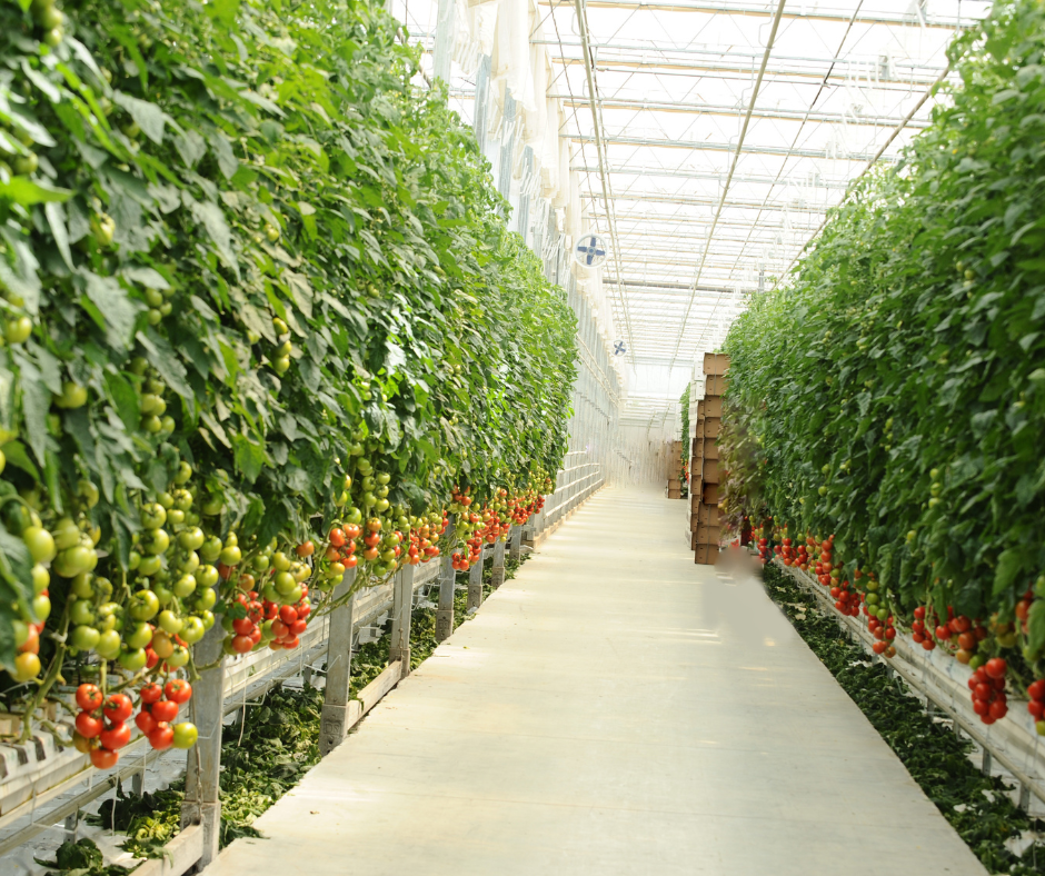 11 Brilliant Vertical Garden Planter Ideas to Transform Your Space